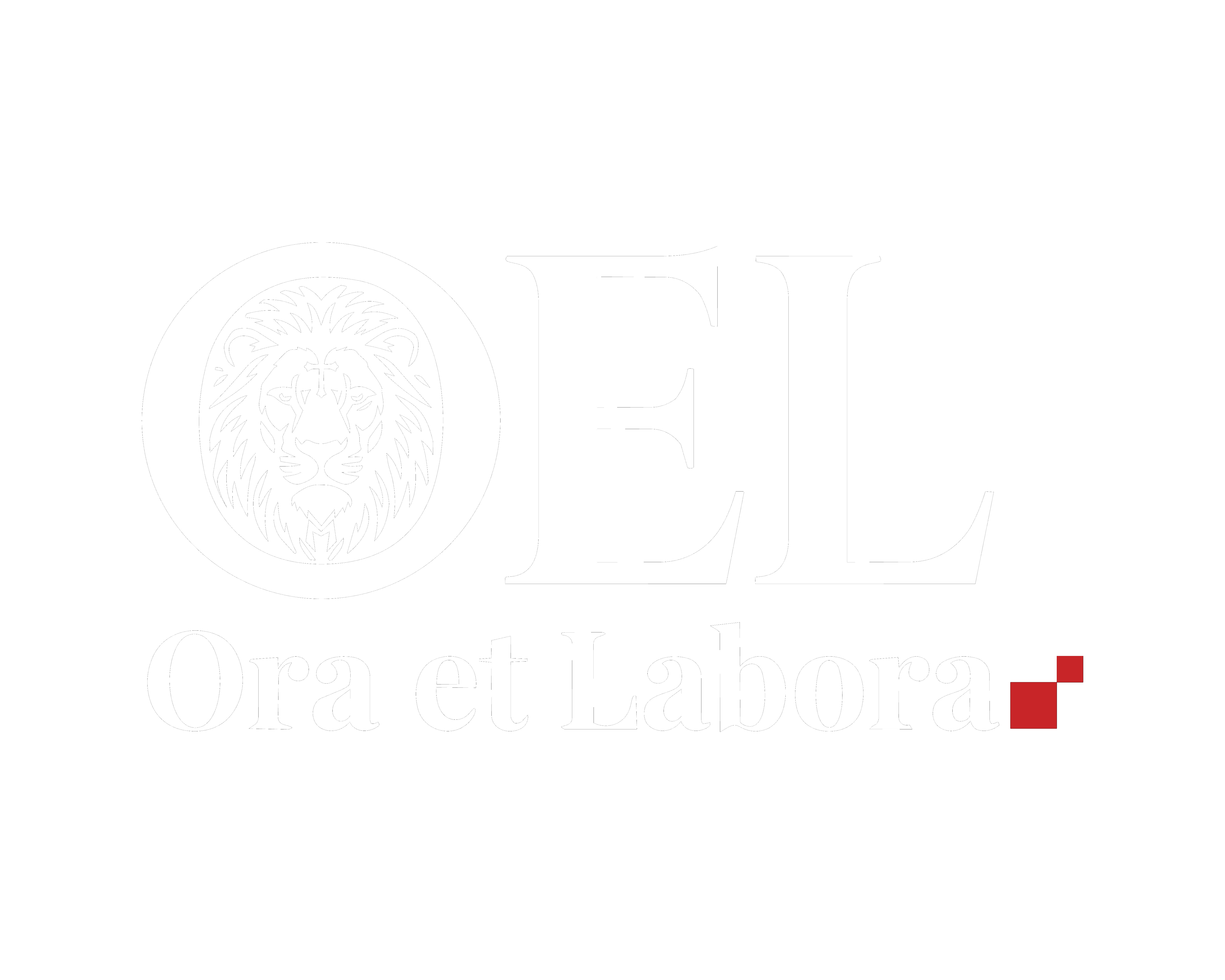 OEL logo